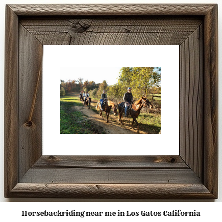 horseback riding near me in Los Gatos, California